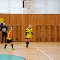 Turnaj U13  v Kamenickém Šenově