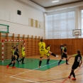 Turnaj U13  v Kamenickém Šenově