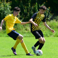 FK Stráž pod Ralskem : FK Cvikov