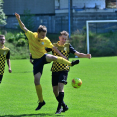 FK Stráž pod Ralskem : FK Cvikov